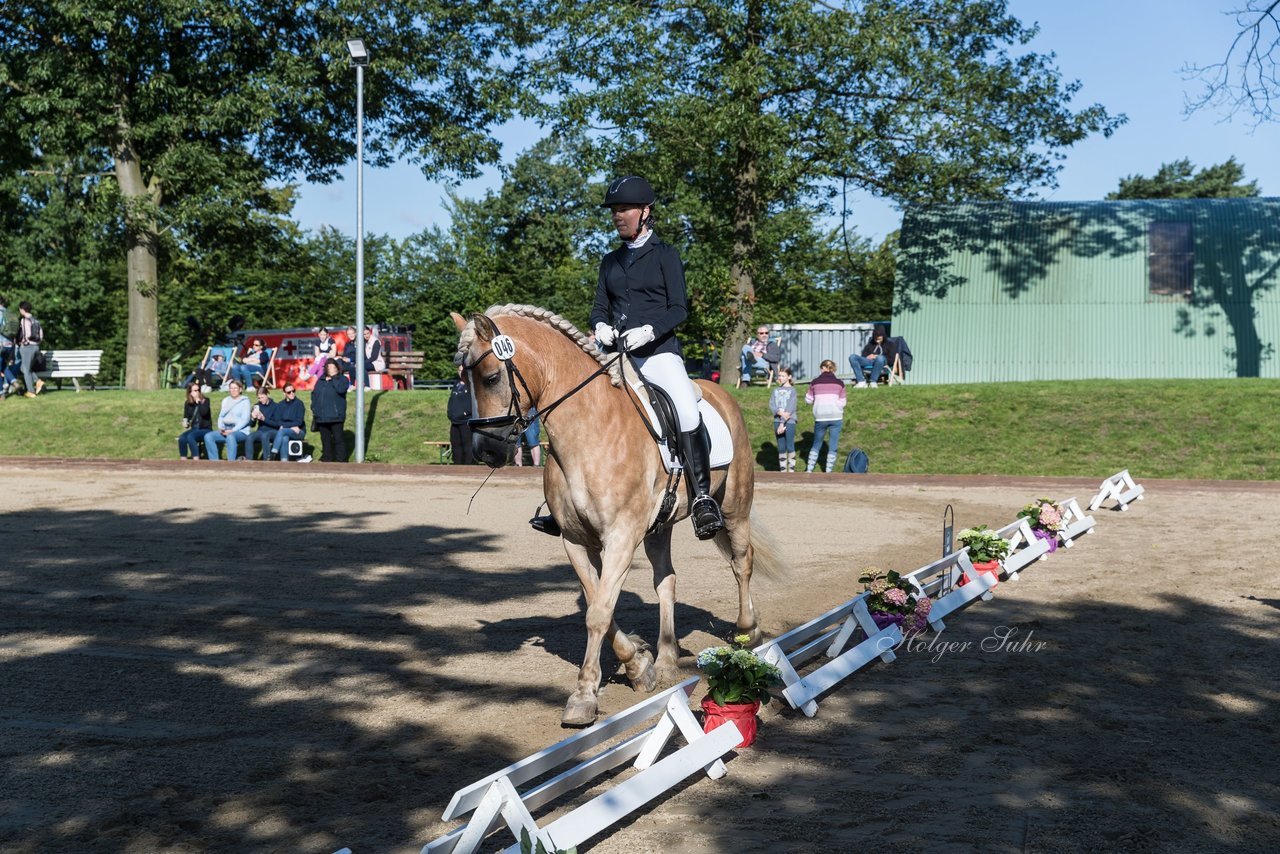 Bild 142 - Pony Akademie Turnier
